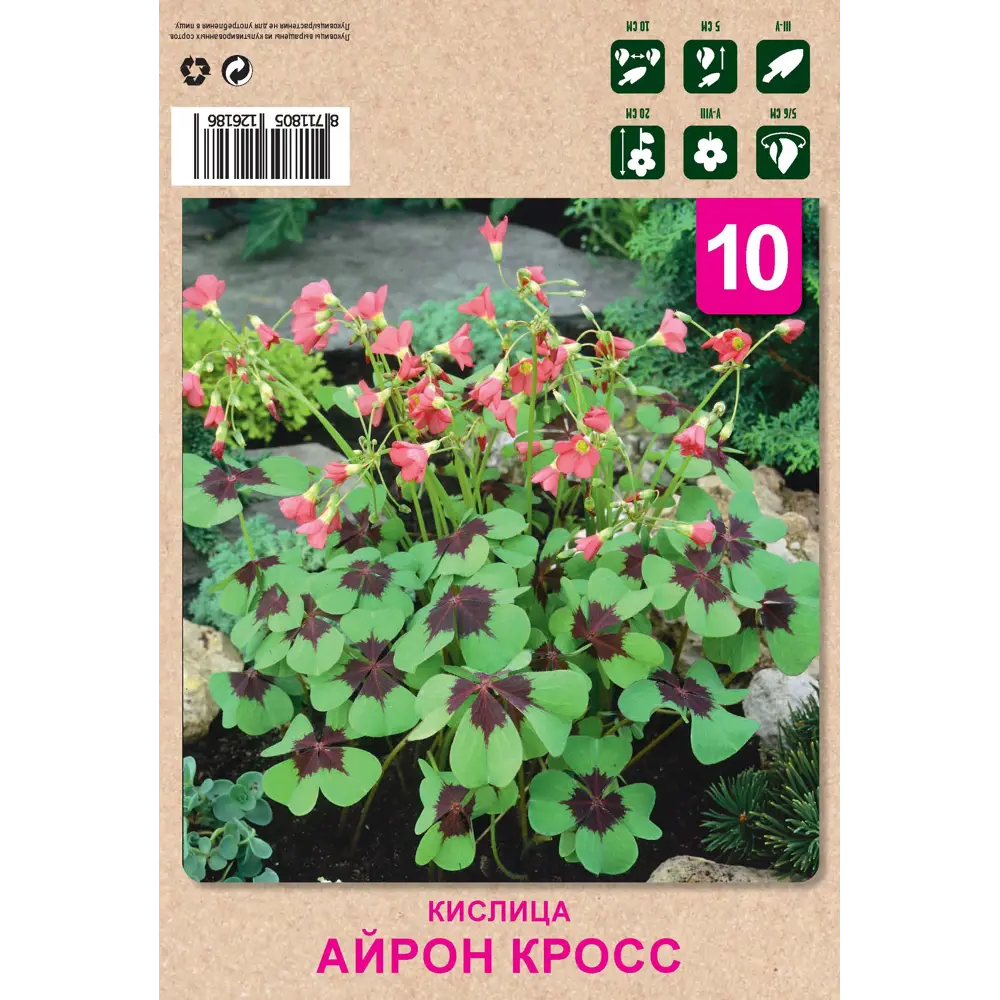 Фото Кислица Айрон Кросс 5/6 10 шт Фото Кислица Айрон Кросс 5/6 10 шт
