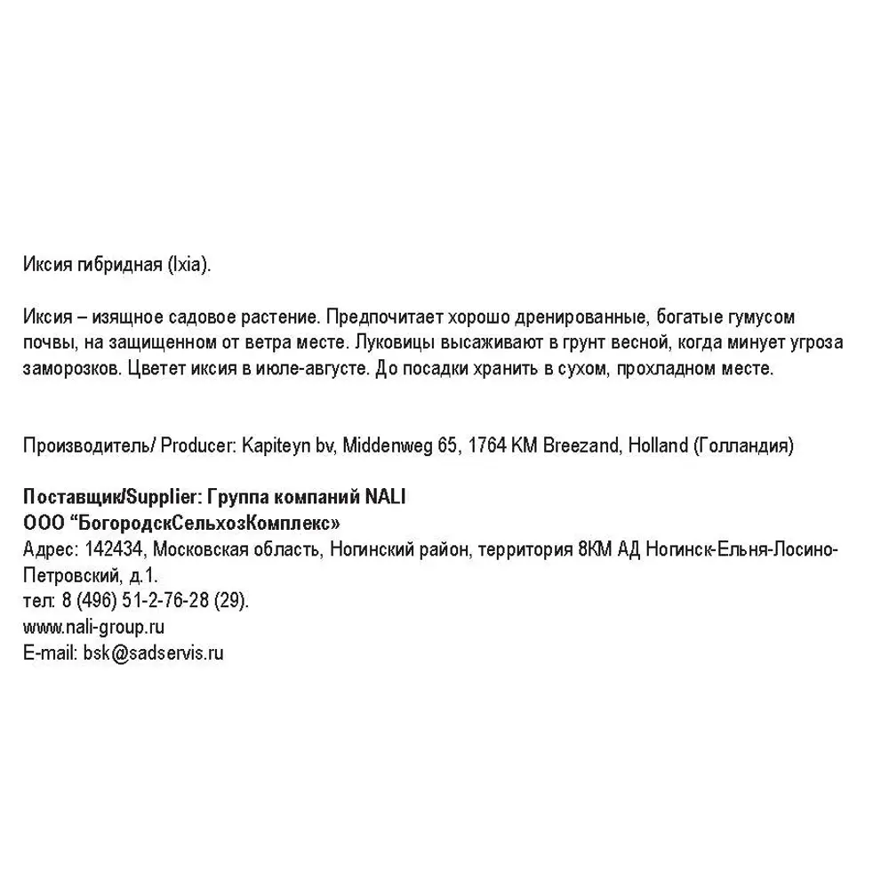 Фото 2 Иксия гибридная смесь 10 шт Фото 2 Иксия гибридная смесь 10 шт