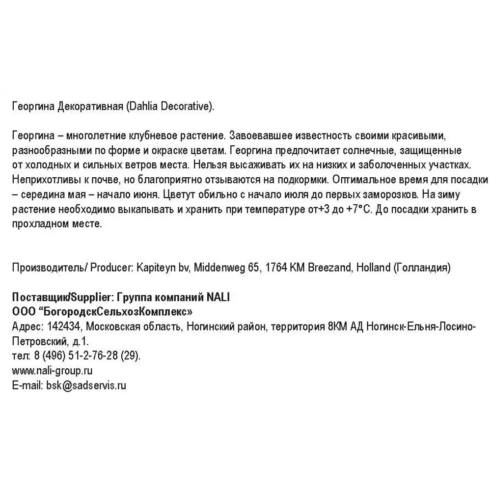 Фото 2 Георгина декоративная Йеллоу-вайт гейм 1 шт