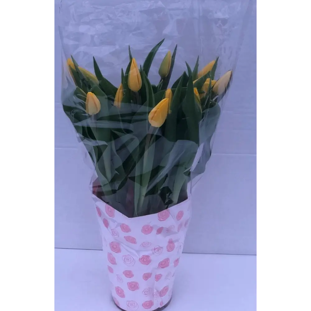 Фото Тюльпаны 17, 15 шт Фото Тюльпаны 17, 15 шт