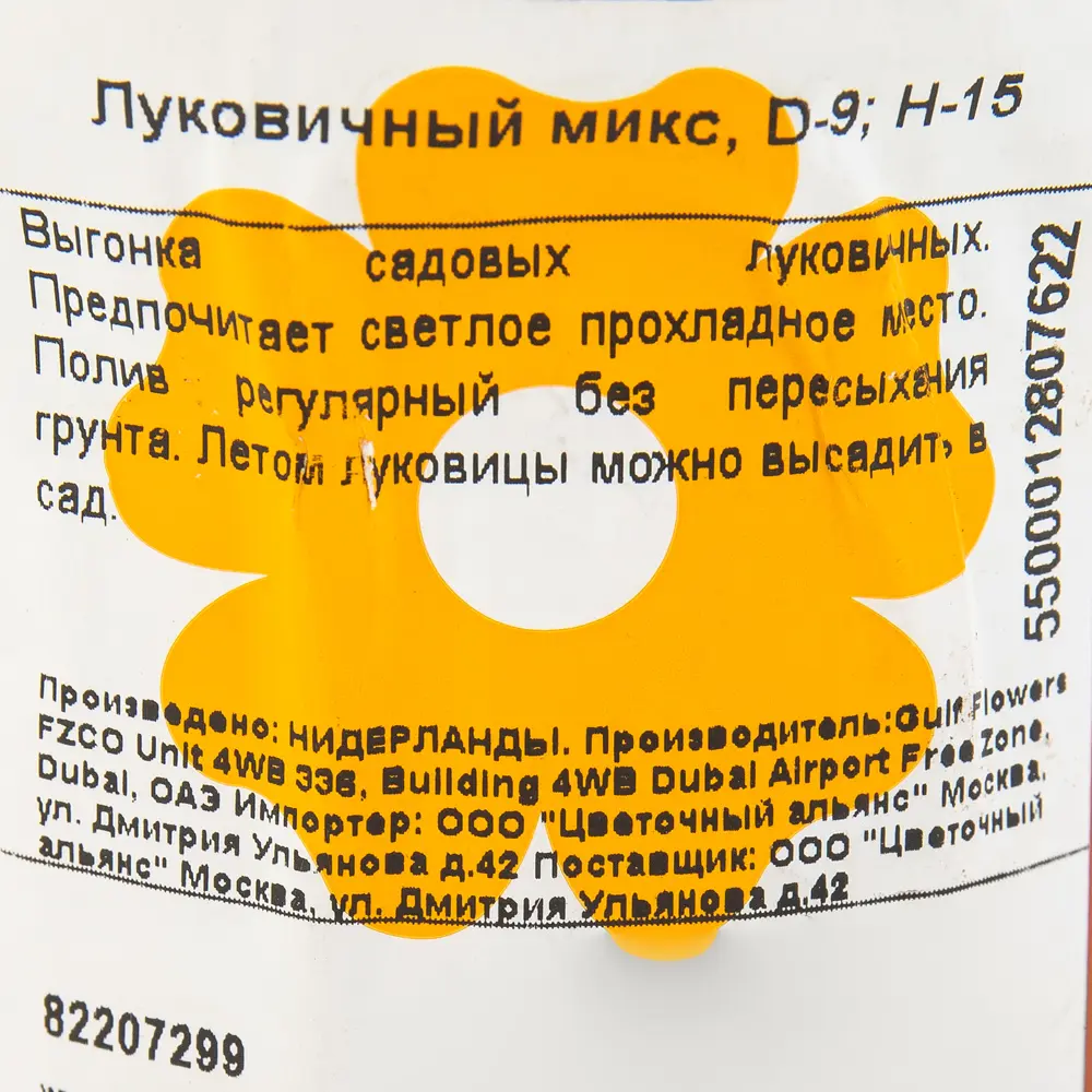 Фото 2 Луковичный микс 9х15 см Фото 2 Луковичный микс 9х15 см