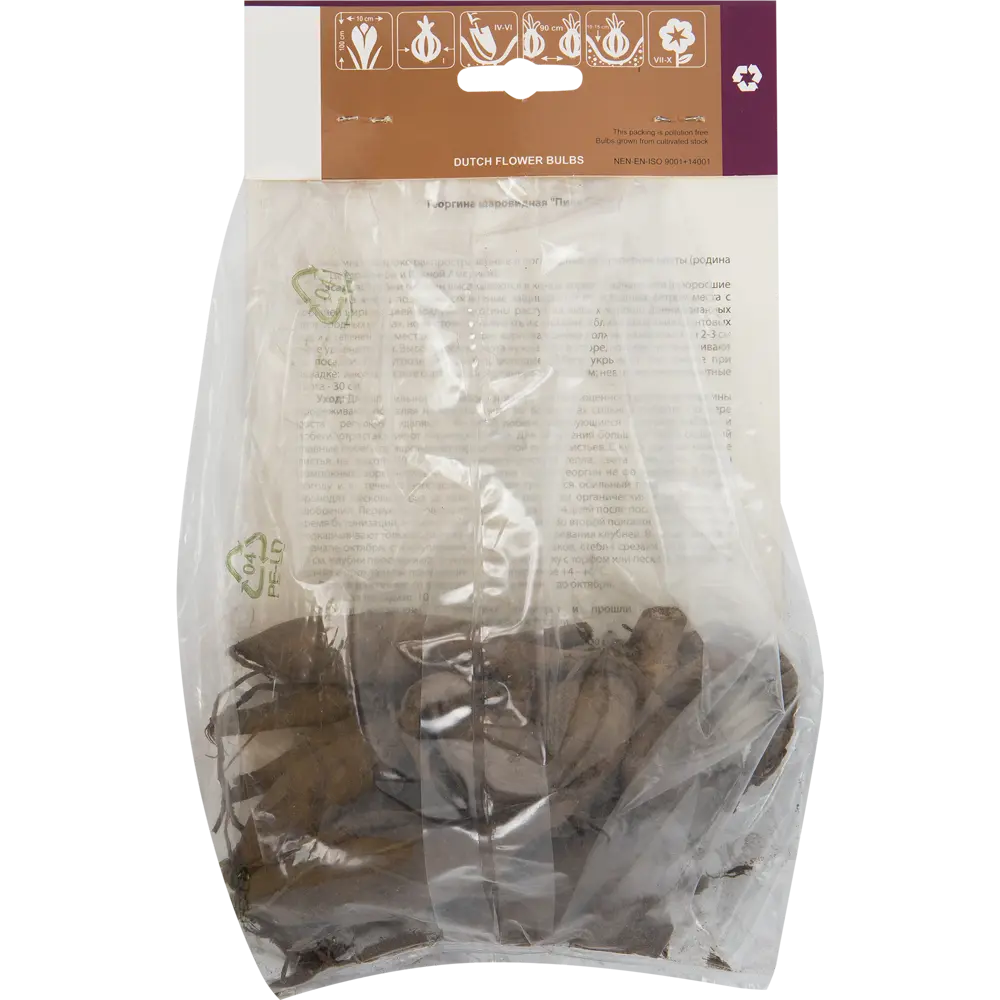 Фото 2 Георгина «Пинк Перл» Фото 2 Георгина «Пинк Перл»