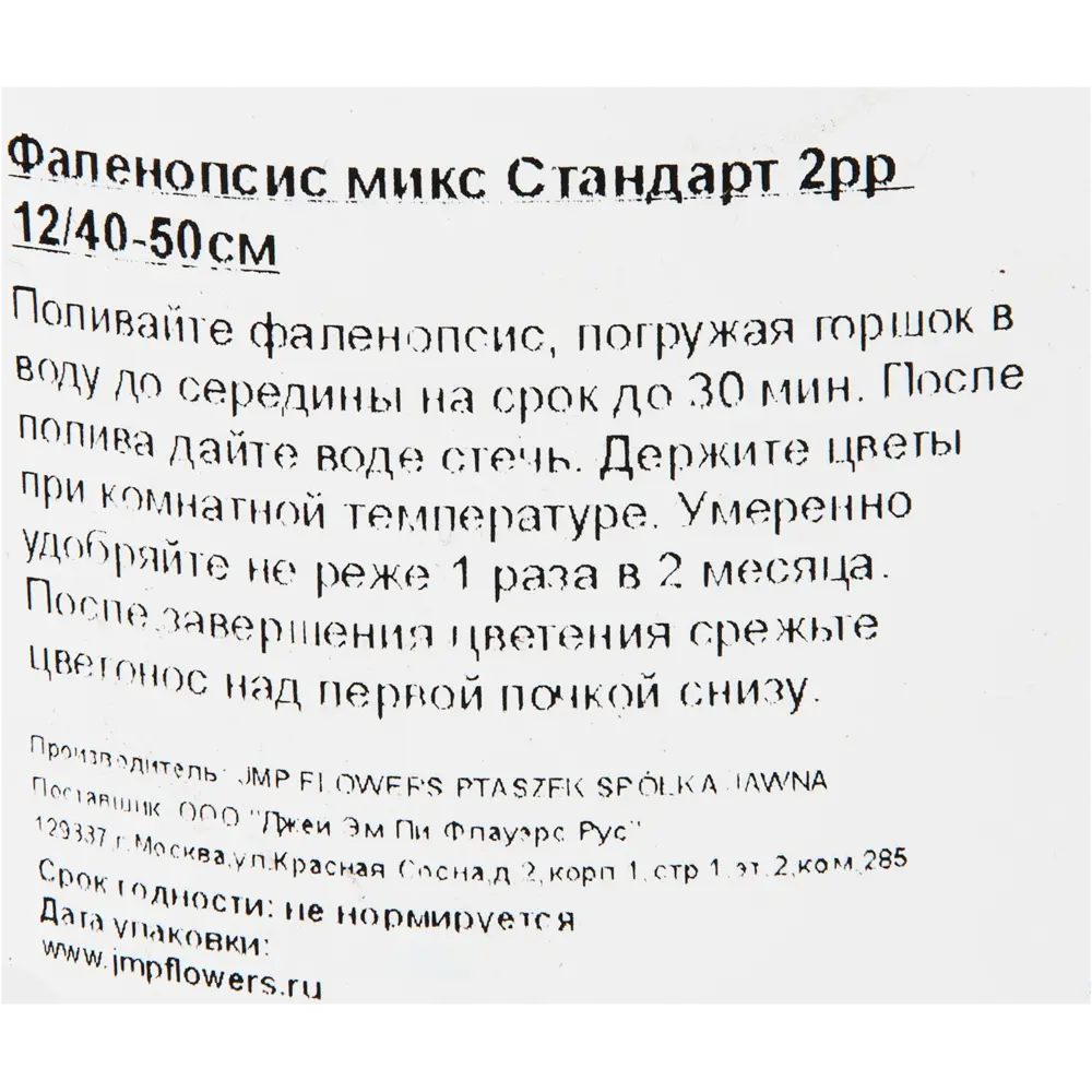Фото 3 Орхидея Фаленопсис Стандарт микс 2 стебля ø12 h50 см Джей Эм Пи Флауэрс рус Фото 3 Орхидея Фаленопсис Стандарт микс 2 стебля ø12 h50 см Джей Эм Пи Флауэрс рус