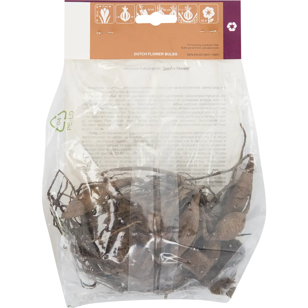 Фото 2 Георгина Гарден вандер I, 1 шт Фото 2 Георгина Гарден вандер I, 1 шт