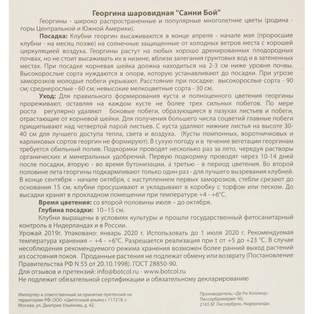 Фото 3 Георгина Санни Бой I, 1 шт Фото 3 Георгина Санни Бой I, 1 шт