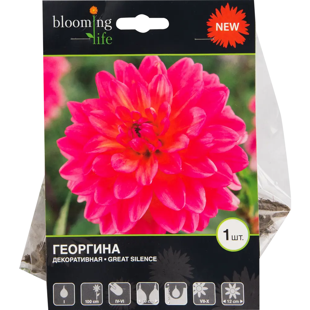 Фото Георгина «Грейт сайленс» Фото Георгина «Грейт сайленс»