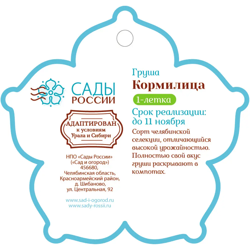 Фото 2 Груша «Кормилица» 1 год 12.5x30-50 см Фото 2 Груша «Кормилица» 1 год 12.5x30-50 см