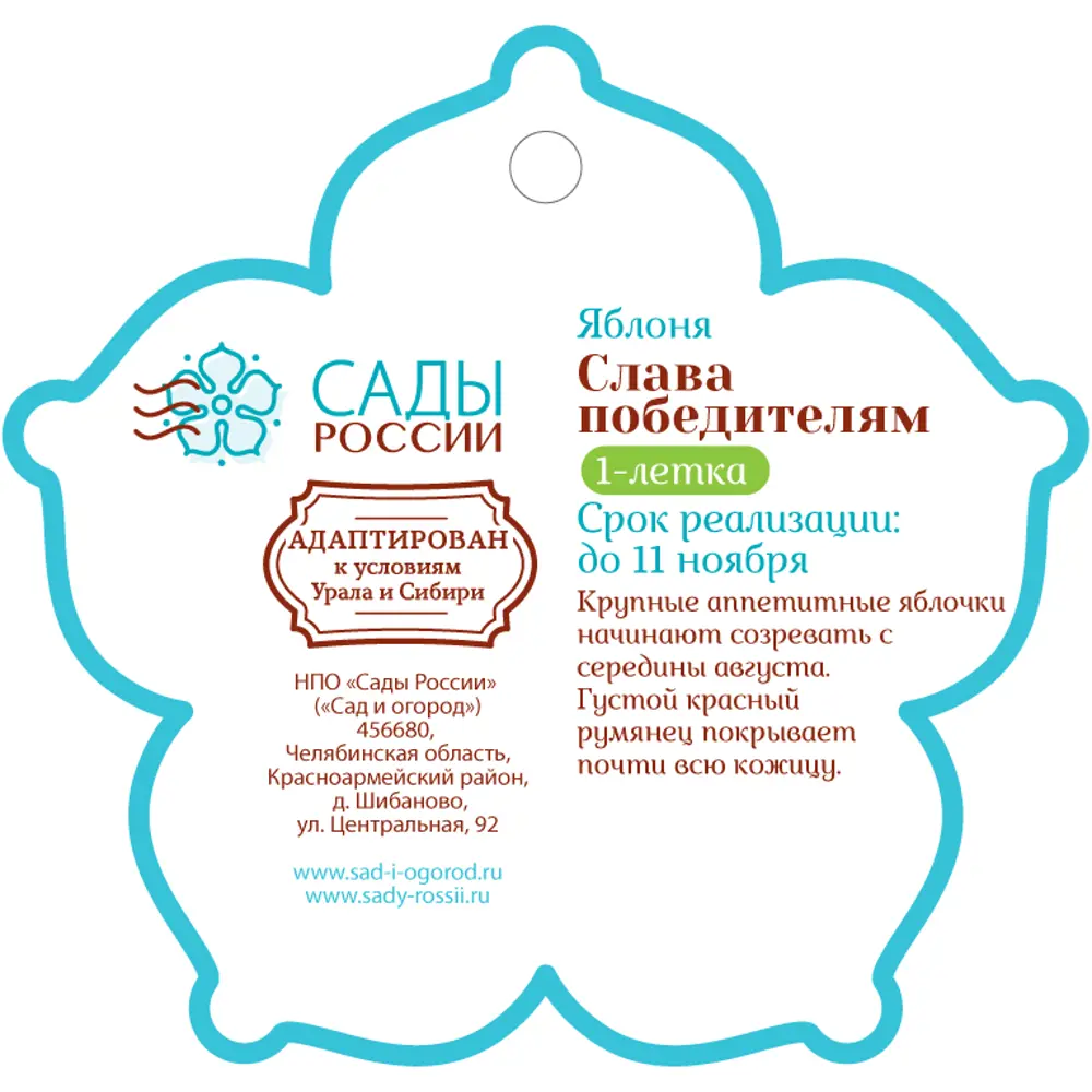 Фото 2 Яблоня «Слава победителям» 1 год 12.5x30-50 см Фото 2 Яблоня «Слава победителям» 1 год 12.5x30-50 см
