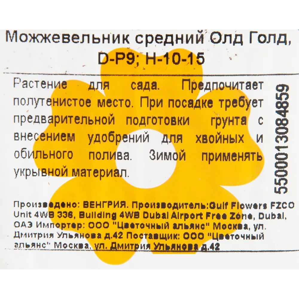 Фото 2 Можжевельник средний «Олд Голд» 9x12.5 см Фото 2 Можжевельник средний «Олд Голд» 9x12.5 см