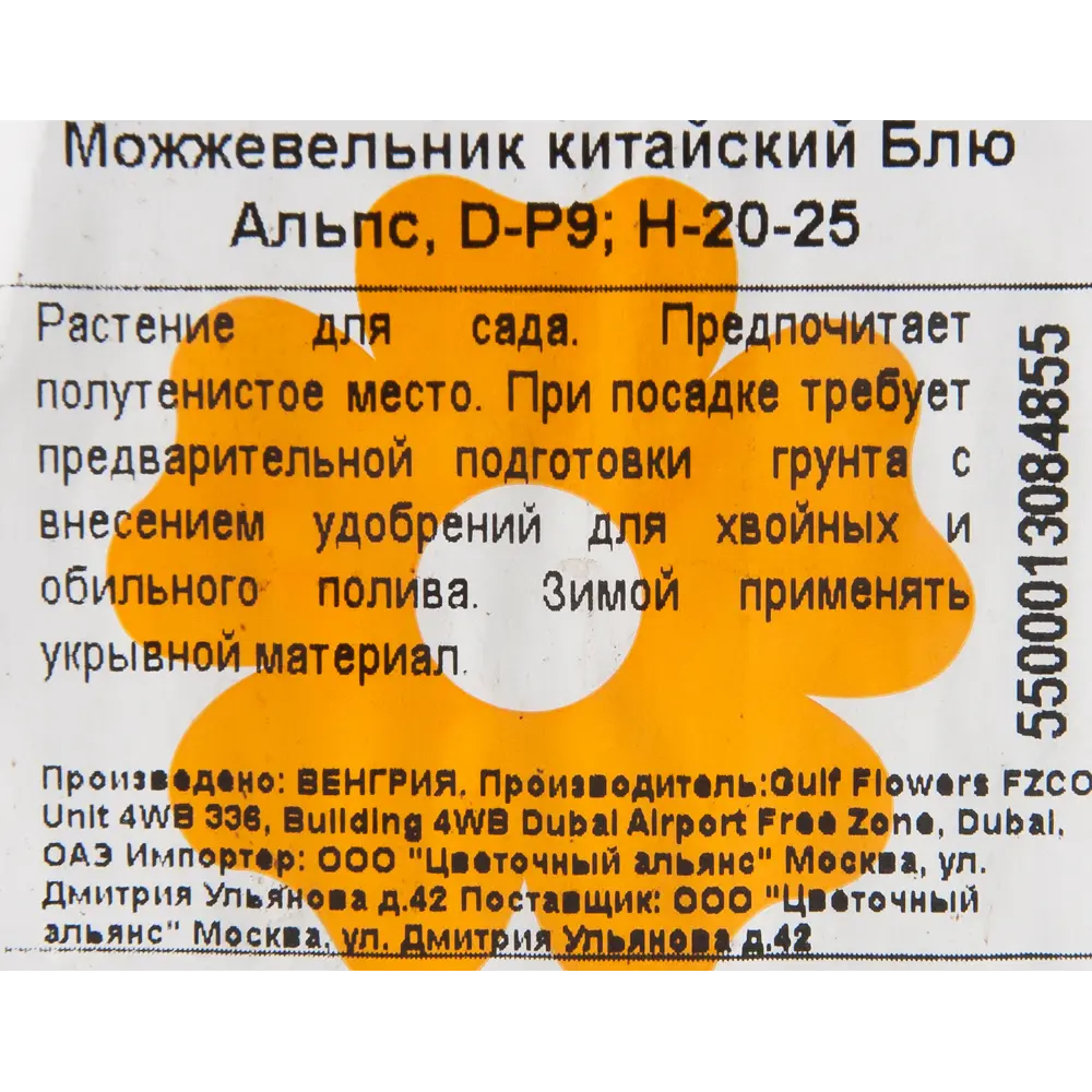 Фото 2 Можжевельник «Блю Альпс» 9x20 см Фото 2 Можжевельник «Блю Альпс» 9x20 см