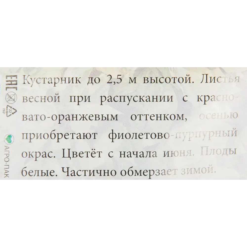 Фото 2 Дерен белый «Шпети» h40 см в пакете Фото 2 Дерен белый «Шпети» h40 см в пакете