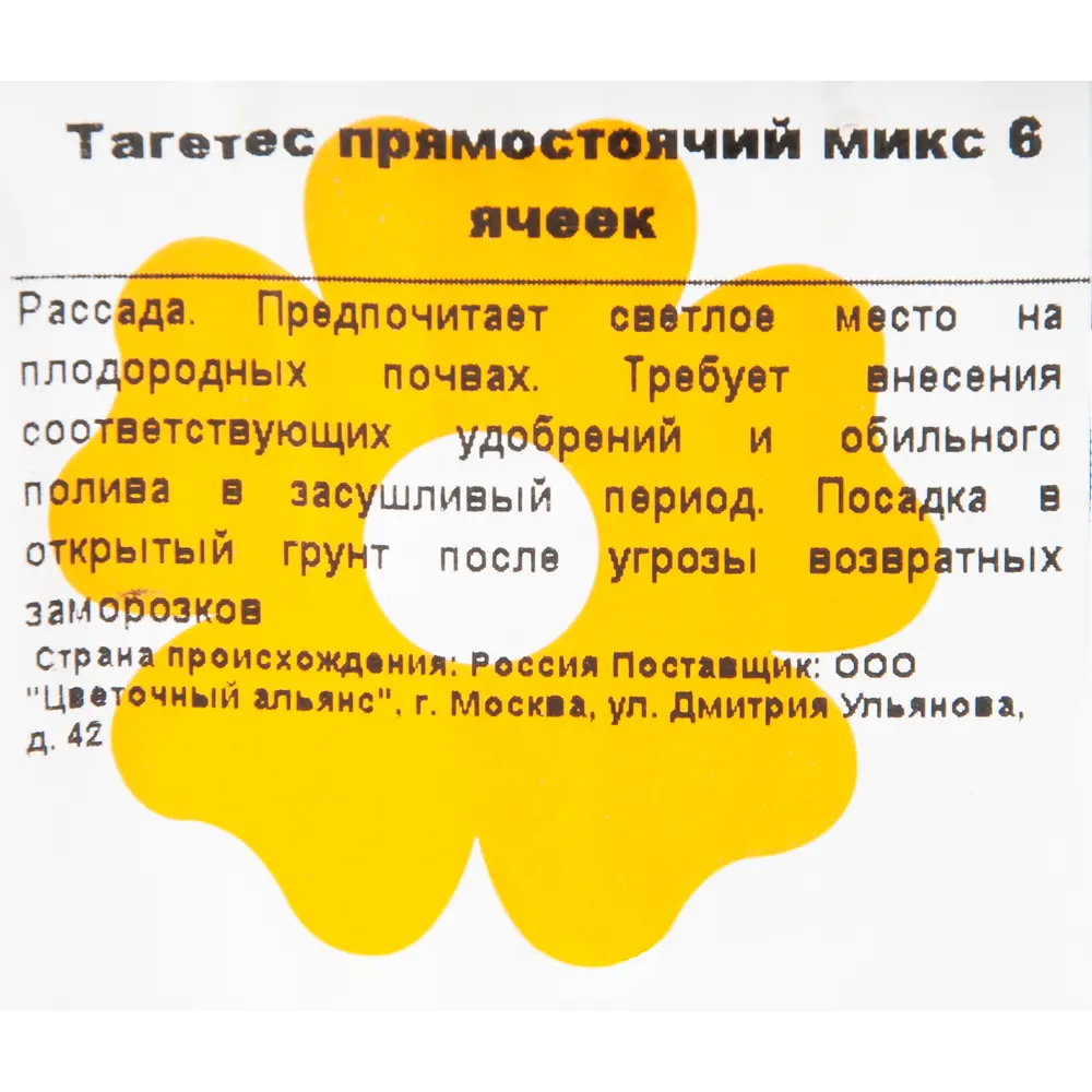 Фото 2 Тагетес прямостоячий 6 ячеек Цветочный альянс Фото 2 Тагетес прямостоячий 6 ячеек Цветочный альянс