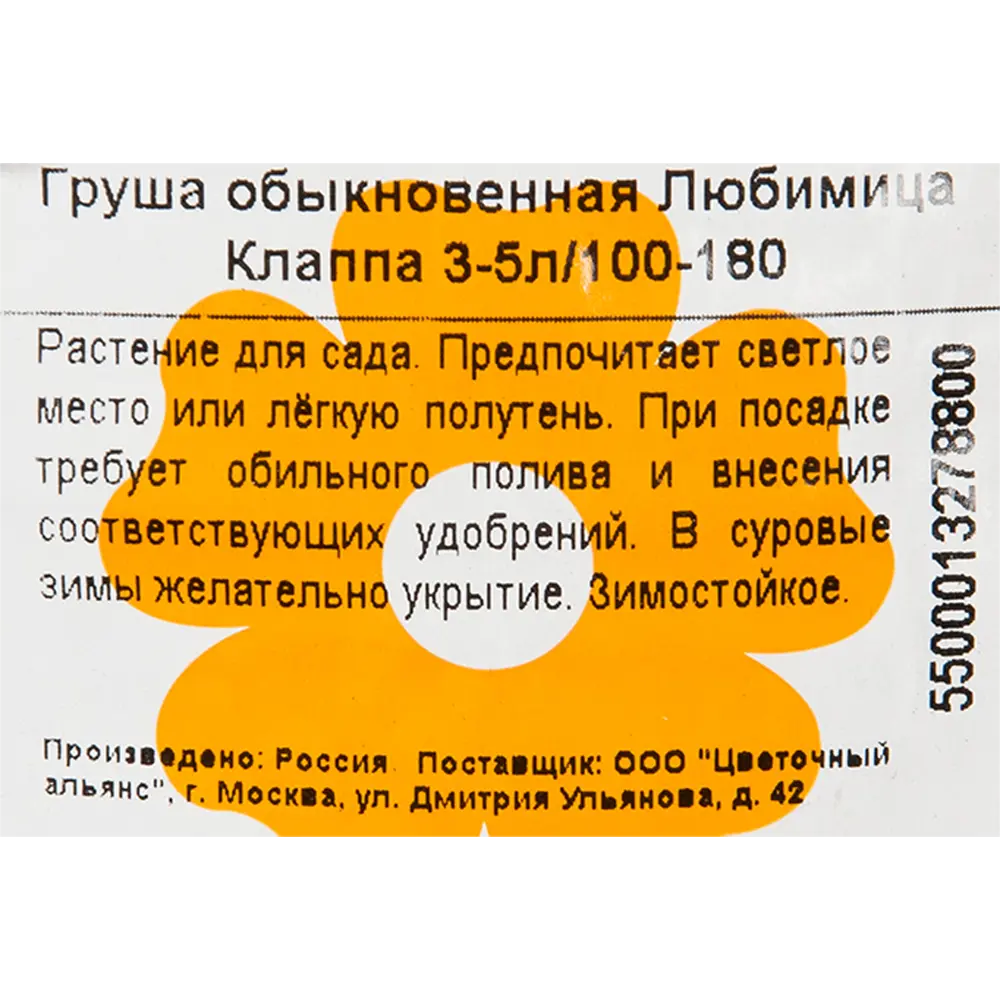 Фото 2 Груша «Любимица Клаппа» 3-5 л высота 100 см Фото 2 Груша «Любимица Клаппа» 3-5 л высота 100 см