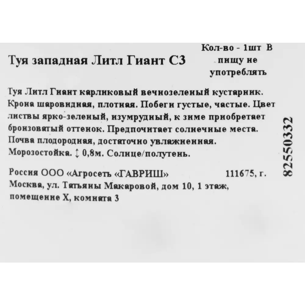Фото 2 Туя западная «Литл Гиант» 19x20 см Фото 2 Туя западная «Литл Гиант» 19x20 см