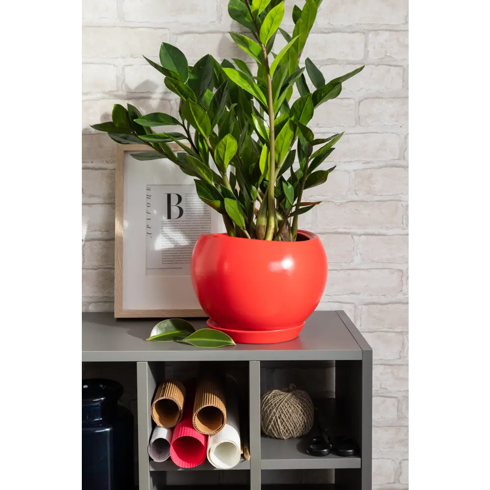 Фото 4 Горшок цветочный Адель ø13 h11.5 см v1.2 л керамика красный