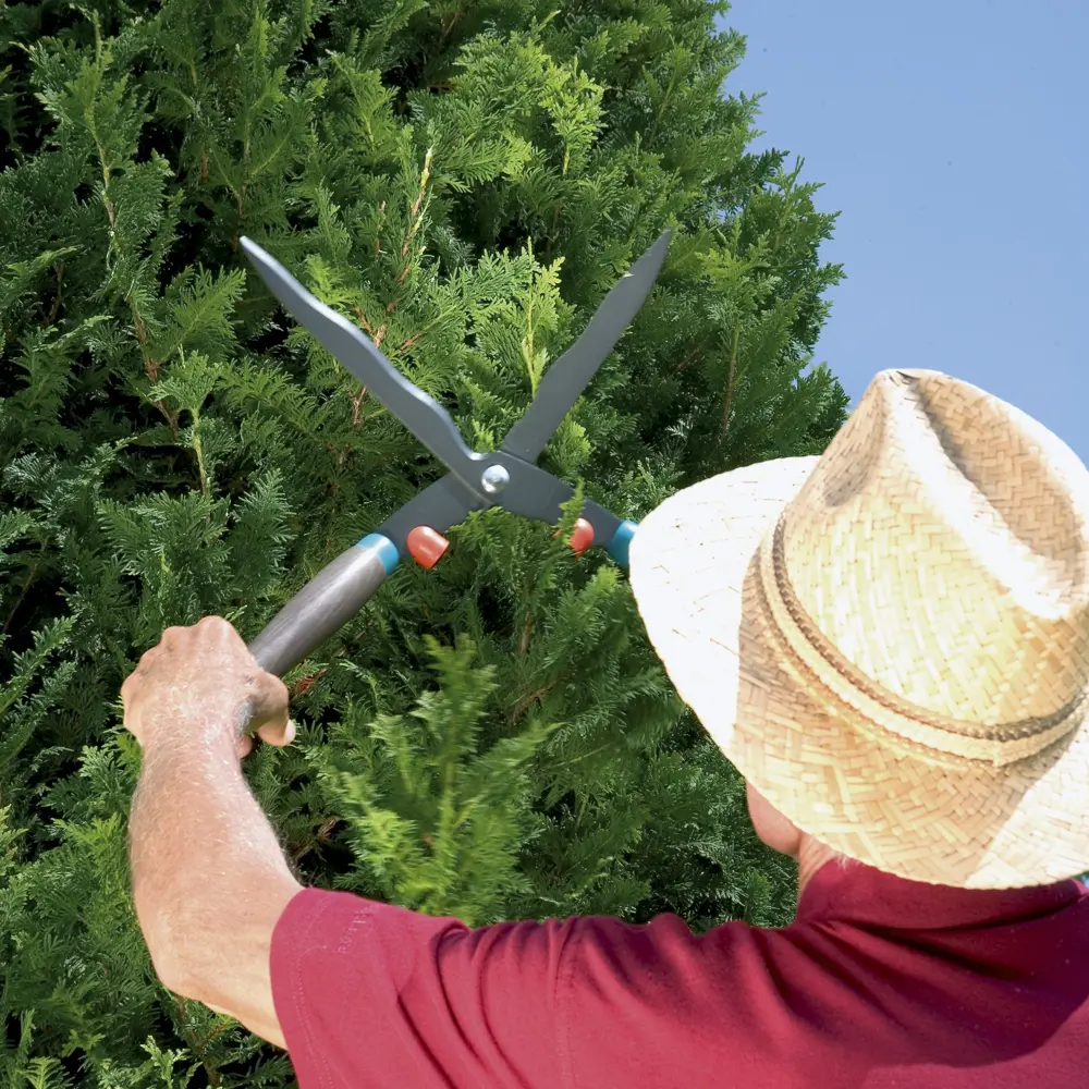 Фото 7 Ножницы садовые Gardena FSC Classic для кустарников Фото 7 Ножницы садовые Gardena FSC Classic для кустарников