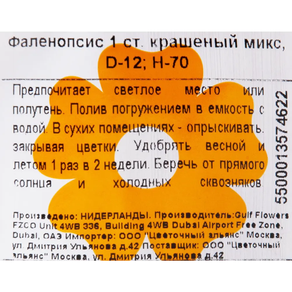 Фото 3 Орхидея Фаленопсис микс окрашенный 1 стебель ø12 h70 см Фото 3 Орхидея Фаленопсис микс окрашенный 1 стебель ø12 h70 см