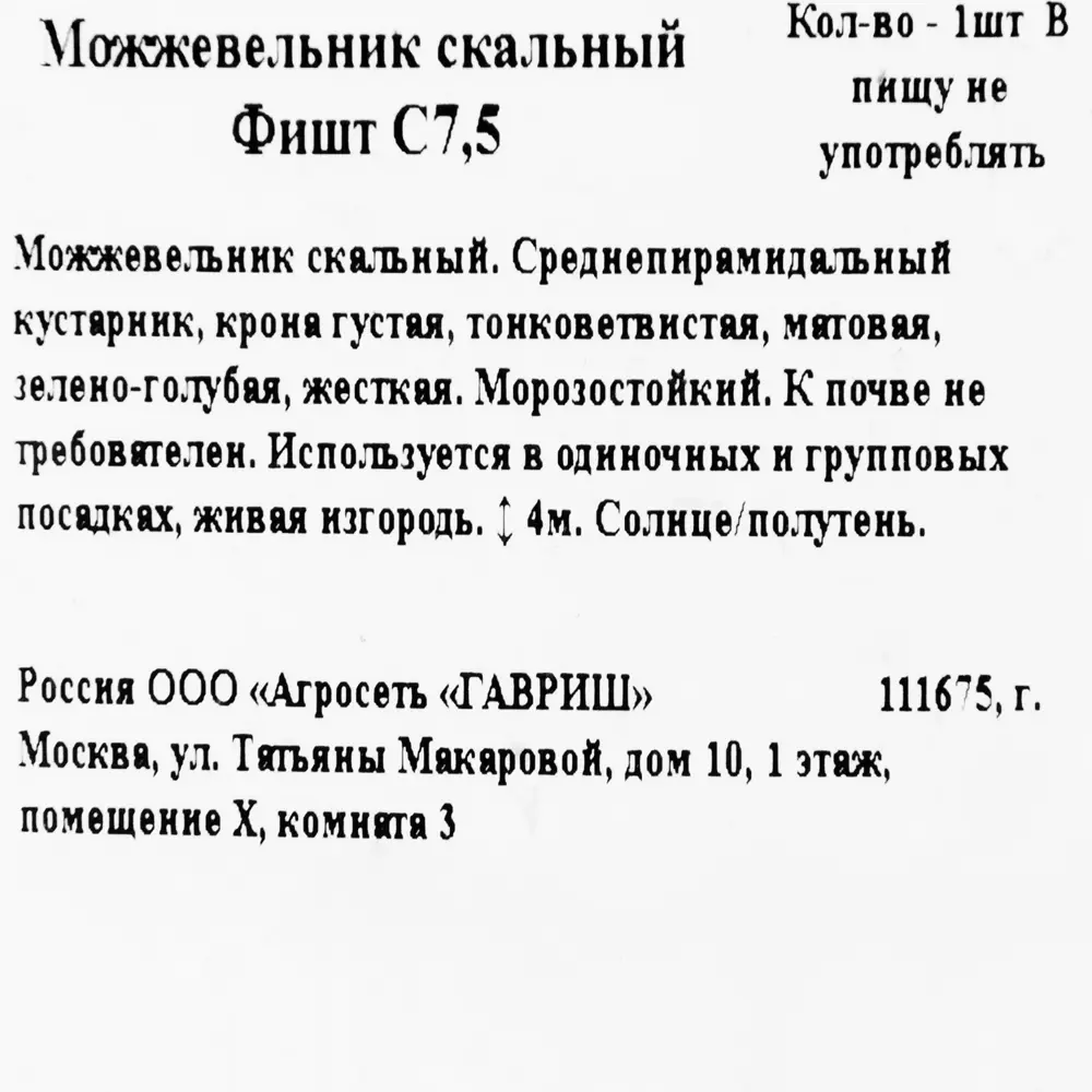 Фото 2 Можжевельник скальный фишт C7.5