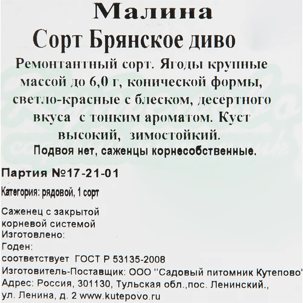 Фото 2 Малина «Брянское диво» C2 высота 40 см