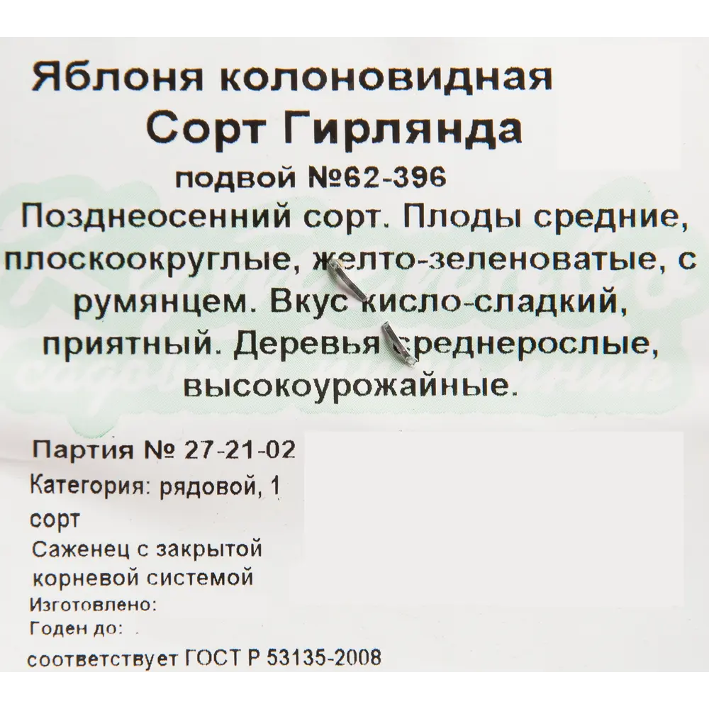 Фото 2 Яблоня колоновидная «Гирлянда» C4 высота 100 см Фото 2 Яблоня колоновидная «Гирлянда» C4 высота 100 см