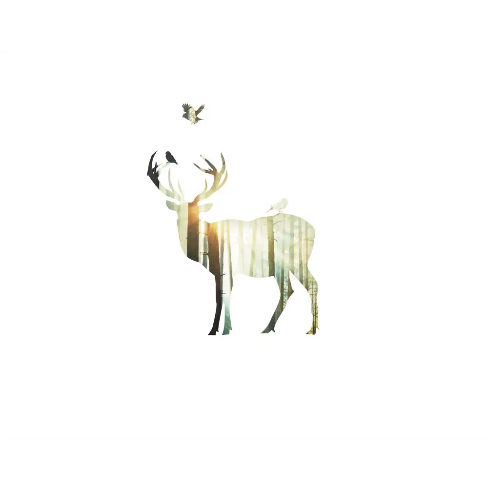 Фото 2 Постер в раме ПростоПостер Лесной олень 902765456133, 60x90 см