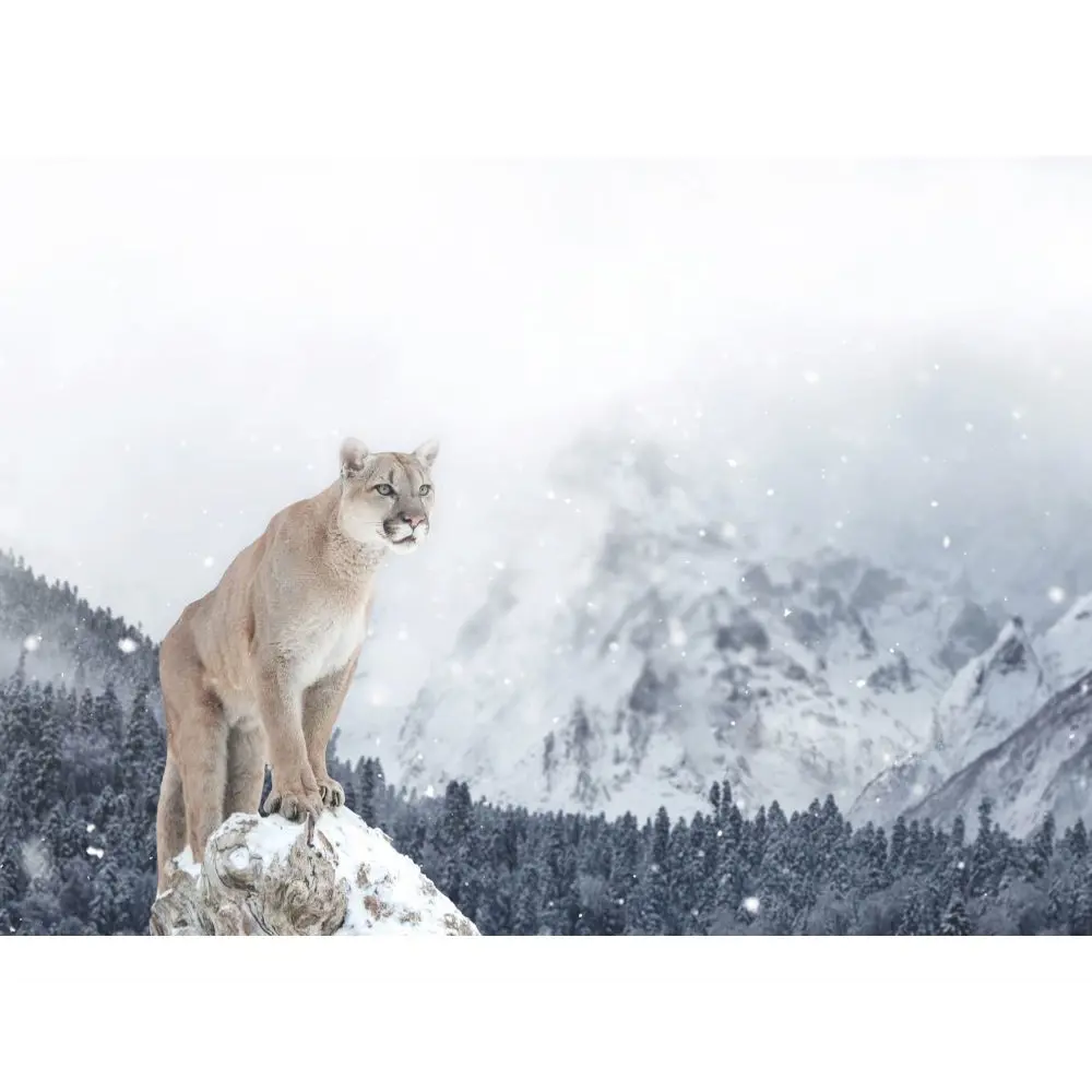 Фото 2 Постер в раме ПростоПостер Пума 902689158724, 40x50 см