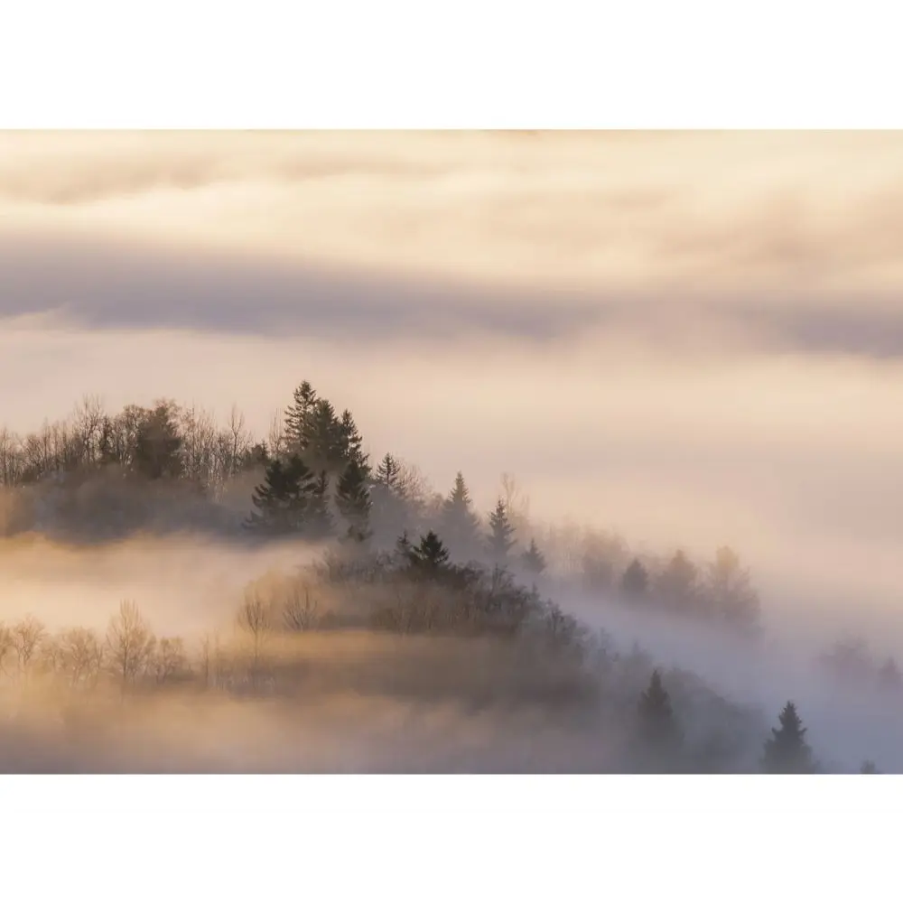 Фото 2 Постер в раме ПростоПостер Туман 974132912320, 40x50 см