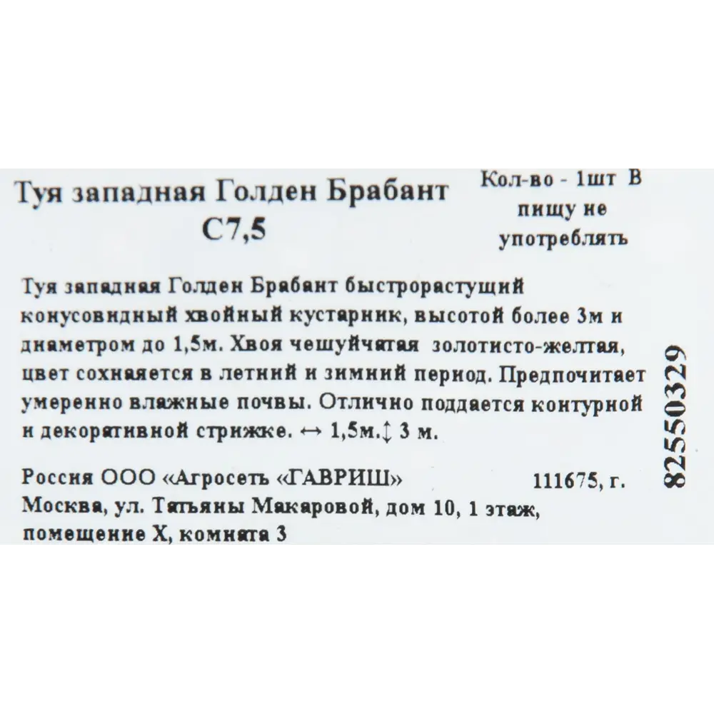 Фото 2 Туя западная «Голден Брабант» 22x50 см Фото 2 Туя западная «Голден Брабант» 22x50 см