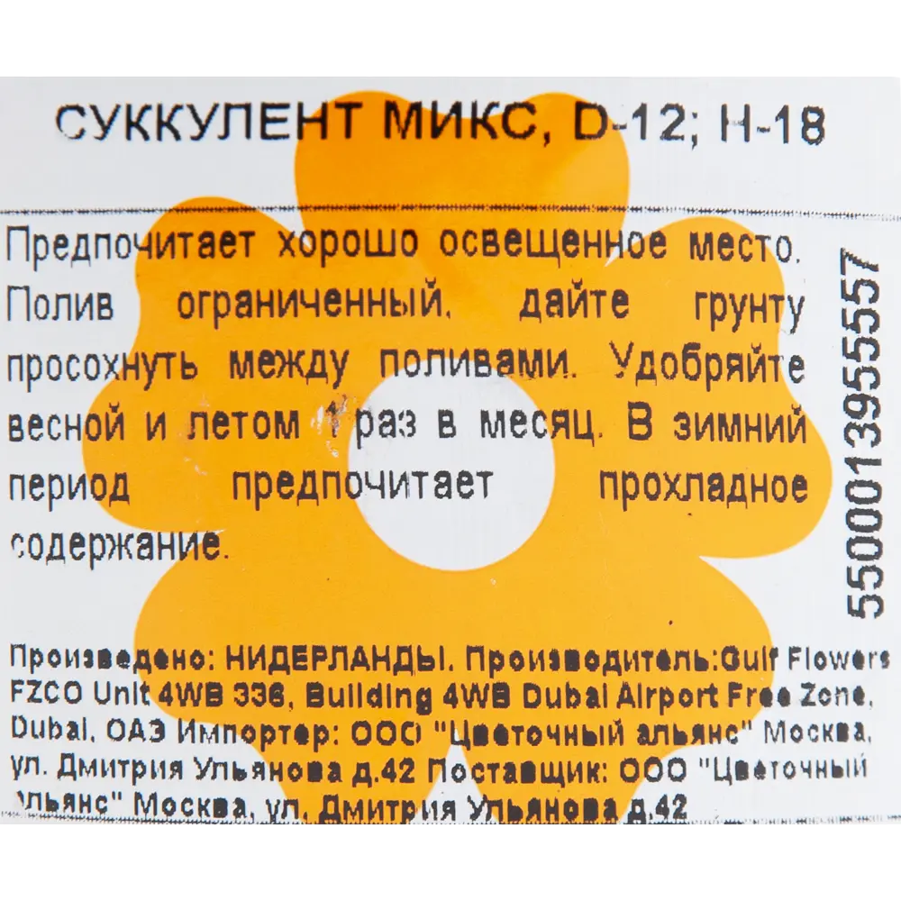 Фото 3 Суккулент микс 12x18 см Фото 3 Суккулент микс 12x18 см