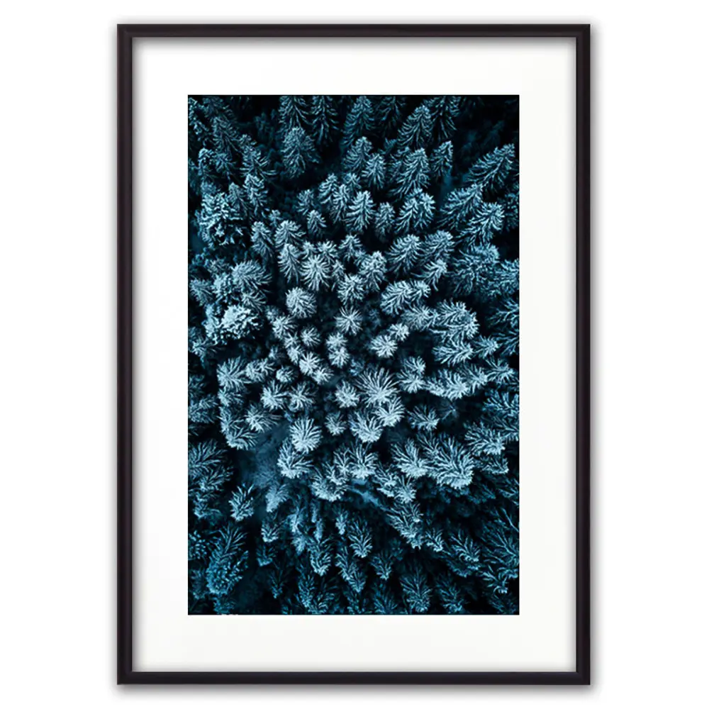 Фото Постер Дом Корлеоне Голубой лес с высоты 07-0367-30x40, 30x40 см Фото Постер Дом Корлеоне Голубой лес с высоты 07-0367-30x40, 30x40 см