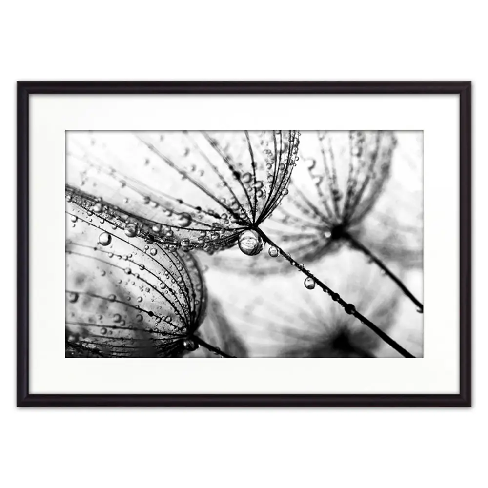 Фото Постер Дом Корлеоне Одуванчики 07-0450-21x30, 21x30 см Фото Постер Дом Корлеоне Одуванчики 07-0450-21x30, 21x30 см