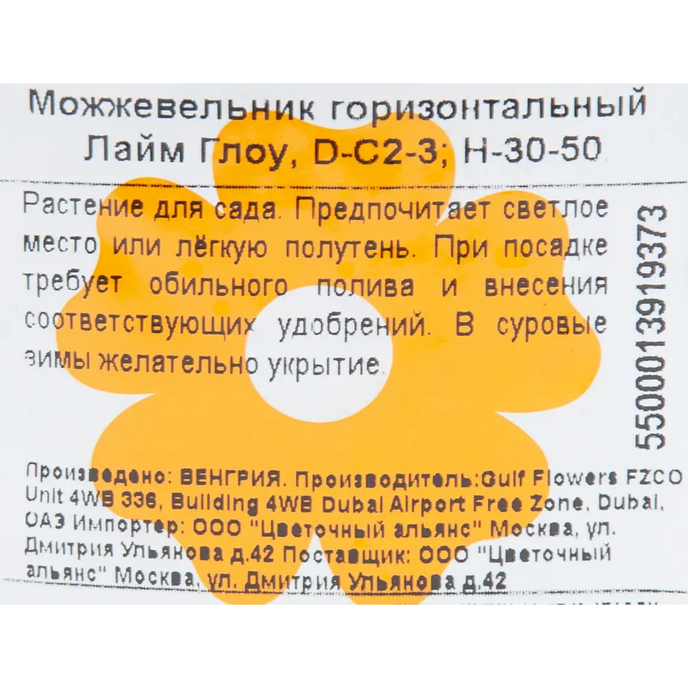 Фото 2 Можжевельник «Лайм Глоу» 17x40 см Фото 2 Можжевельник «Лайм Глоу» 17x40 см