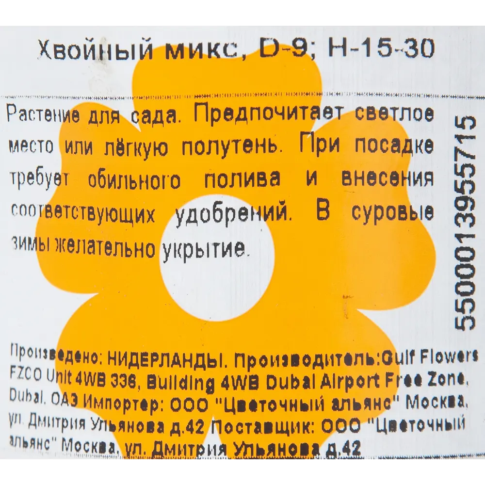 Фото 3 Хвойные микс Промо 9x20 см