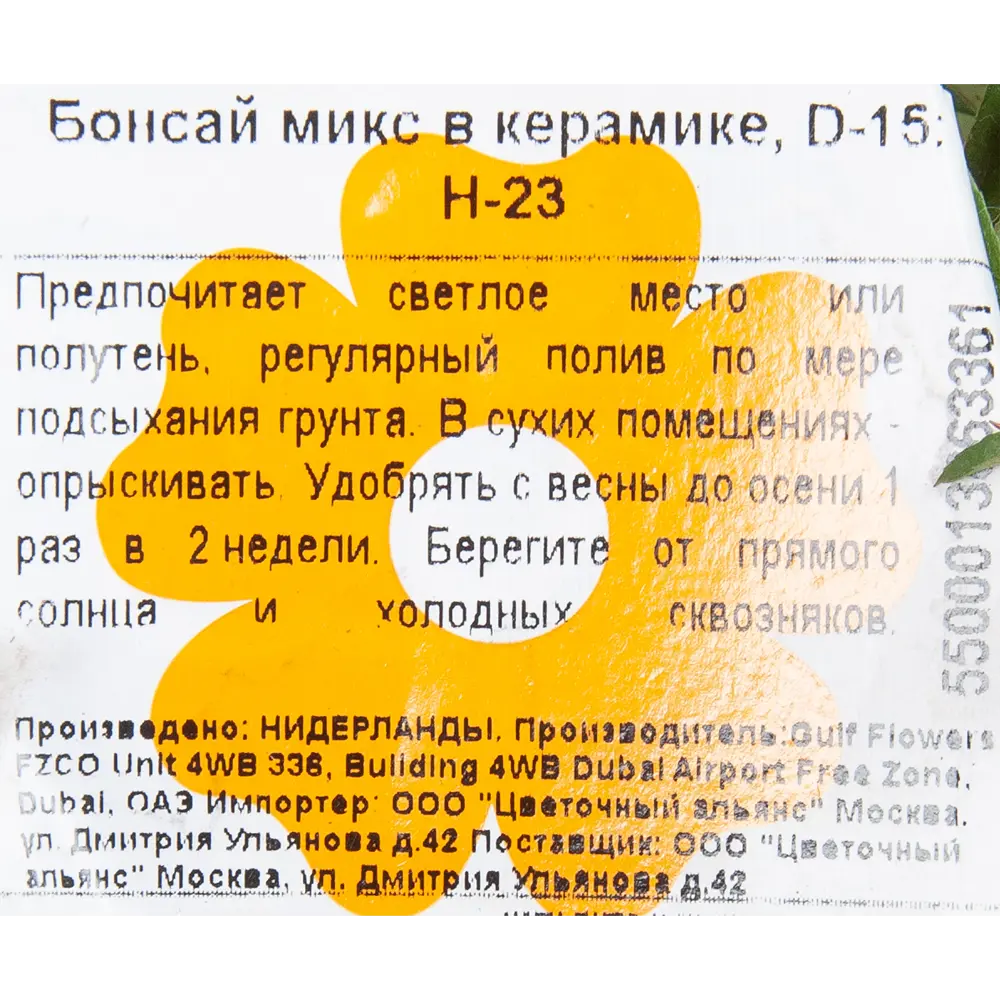 Фото 3 Бонсай микс 3 вида керамика 15x23 см Фото 3 Бонсай микс 3 вида керамика 15x23 см