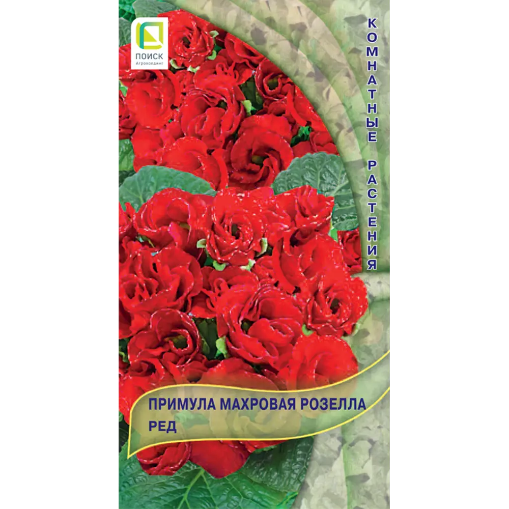 Фото Семена Примула махровая «Розелла Ред» Фото Семена Примула махровая «Розелла Ред»
