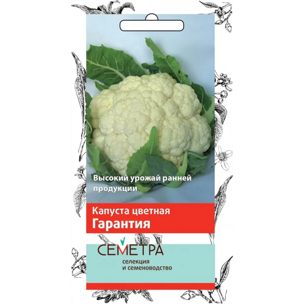 Фото Семена Капустаная Гарантия серия Семетра Поиск Фото Семена Капустаная Гарантия серия Семетра Поиск