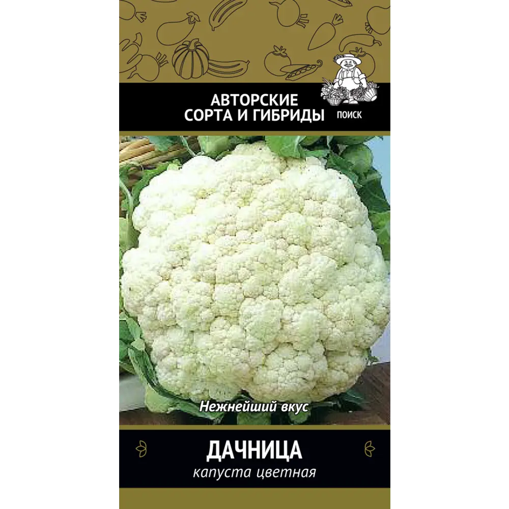 Фото Семена Капустаная Дачница серия Авторские сорта Поиск Фото Семена Капустаная Дачница серия Авторские сорта Поиск