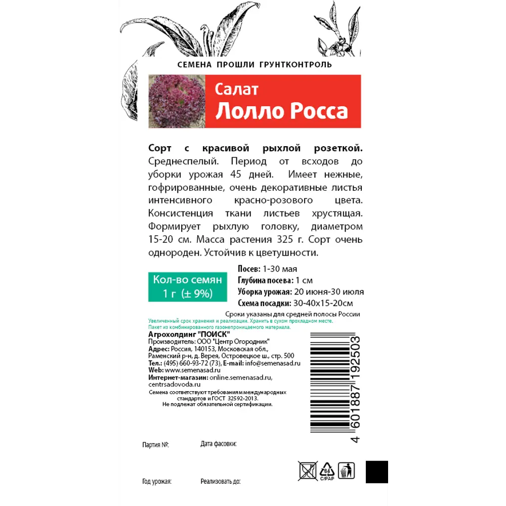 Фото 2 Семена Салат Лолло Росса серия Семетра Поиск Фото 2 Семена Салат Лолло Росса серия Семетра Поиск