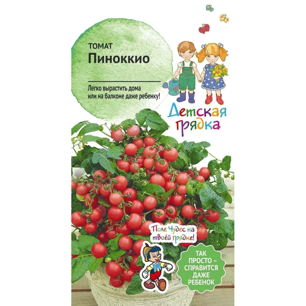 Томат Пиноккио Характеристика Фото