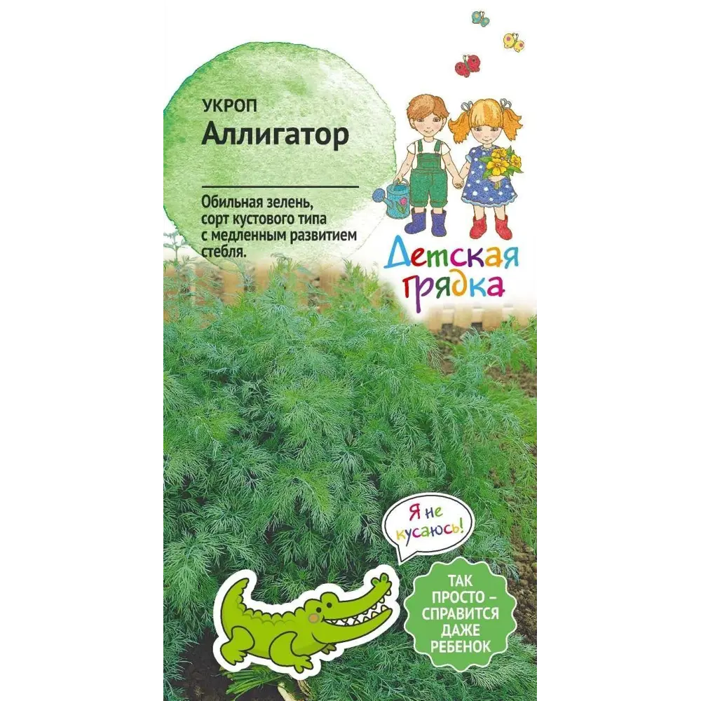 Фото Семена Укроп Аллигатор Детская грядка Фото Семена Укроп Аллигатор Детская грядка
