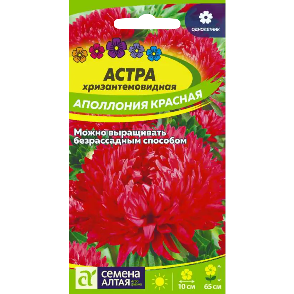 Фото Семена Астра Аполлония красная Фото Семена Астра Аполлония красная