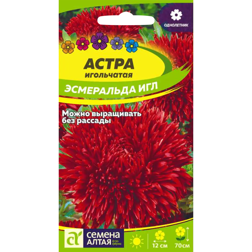 Фото Семена Астра Эсмеральда Игл Фото Семена Астра Эсмеральда Игл