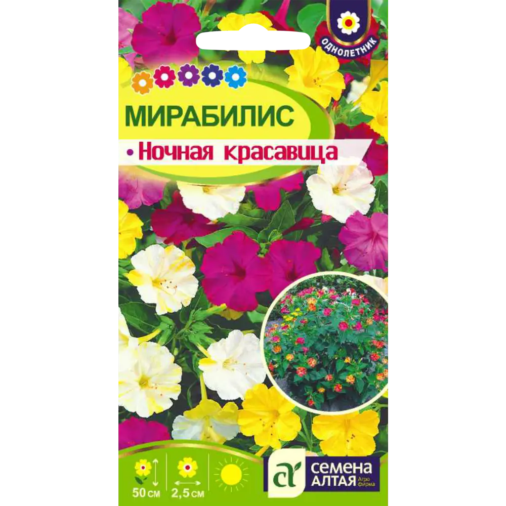 Фото Семена Мирабилис Ночная красавица Фото Семена Мирабилис Ночная красавица
