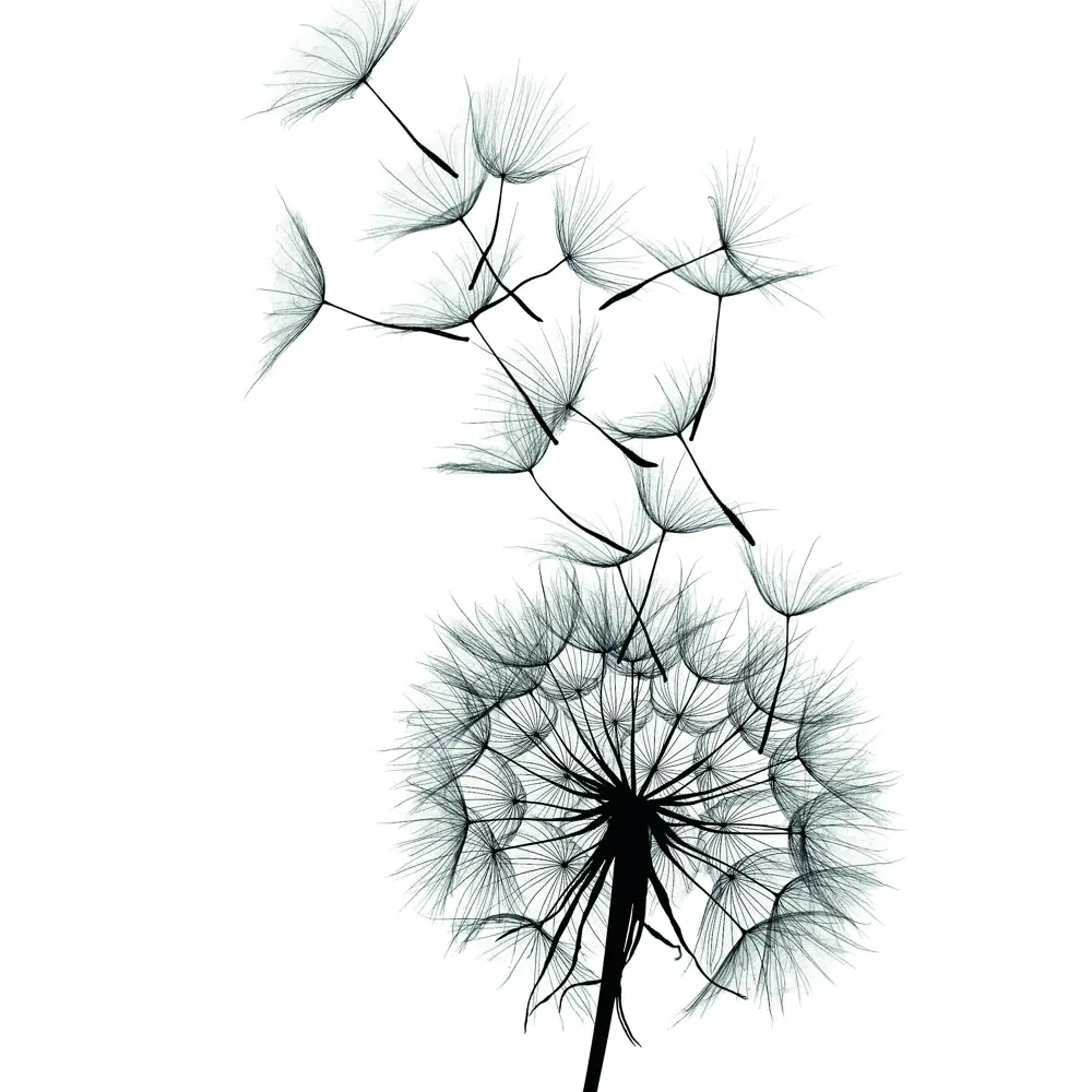 Фото Постер «Легкость» 30x40 см Фото Постер «Легкость» 30x40 см