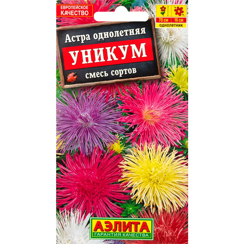 Фото Семена Астра «Уникумк» микс Фото Семена Астра «Уникумк» микс