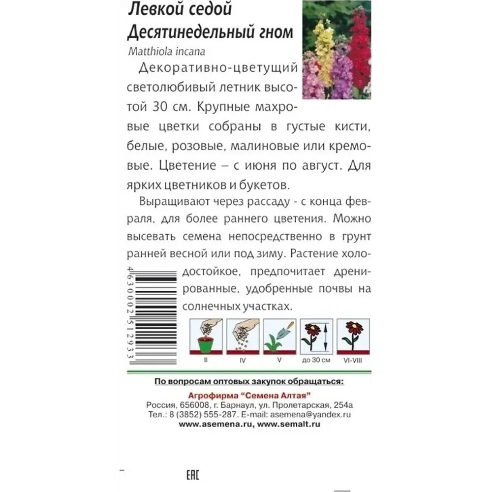 Фото 2 Семена цветов Левкой десятинедельный Гном седой Фото 2 Семена цветов Левкой десятинедельный Гном седой