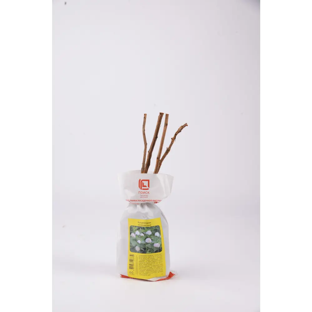 Фото Пузыреплодник ø6 h40 см Фото Пузыреплодник ø6 h40 см