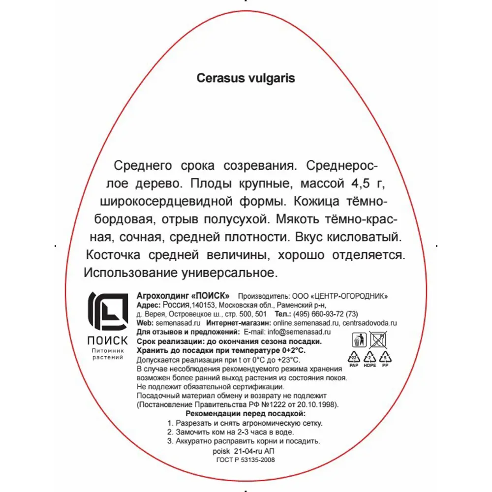 Фото 3 Вишня Тургеневка h220 см Фото 3 Вишня Тургеневка h220 см
