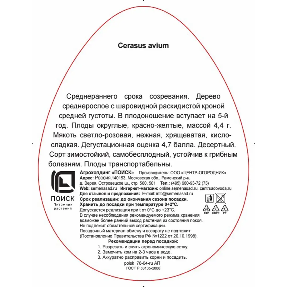Фото 3 Черешня Фатеж h220 см Фото 3 Черешня Фатеж h220 см