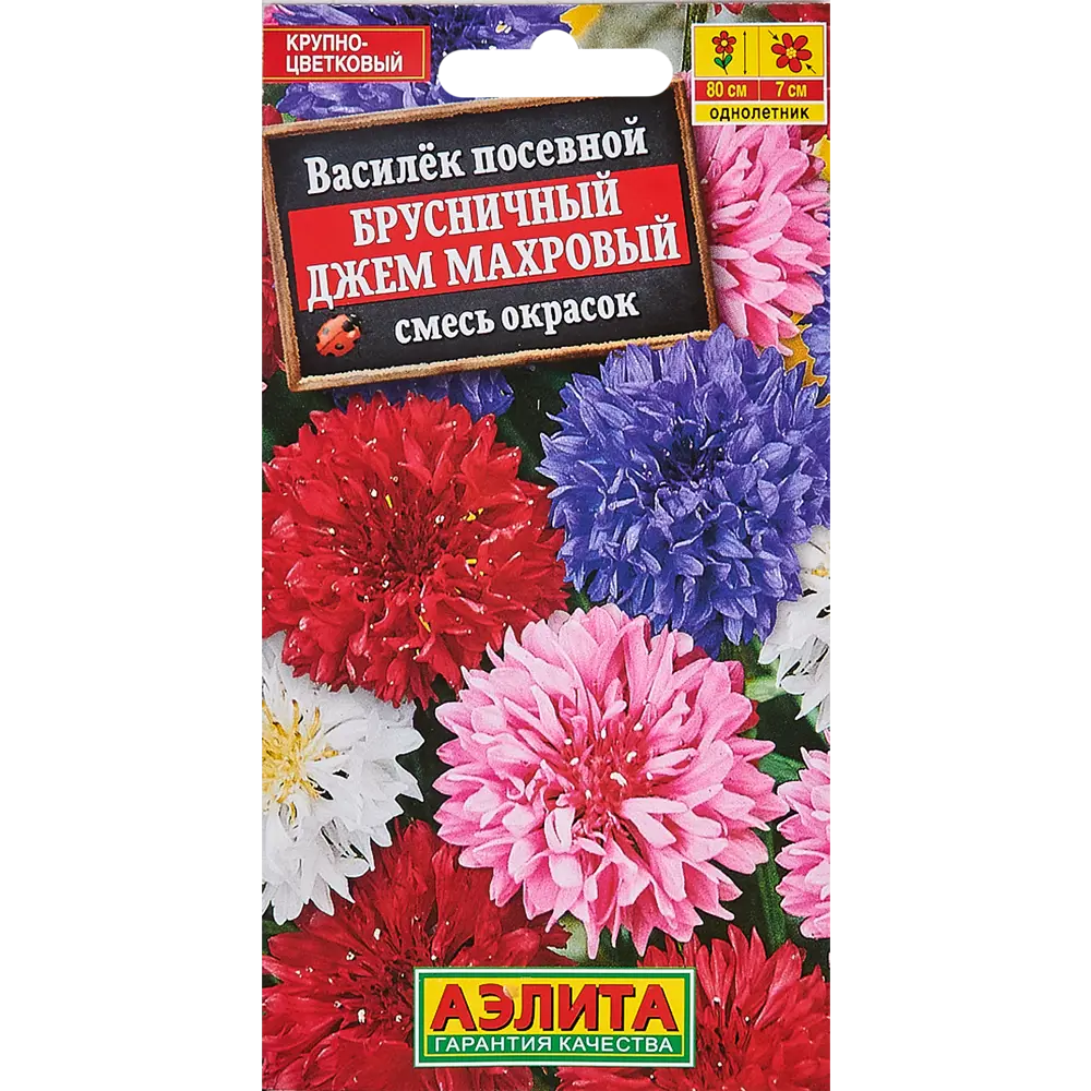 Фото Семена цветов Василёк махровый Брусничный джем микс Фото Семена цветов Василёк махровый Брусничный джем микс
